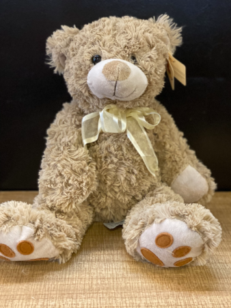 Brown plush bear