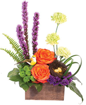 Brush of Blooms Flower Arrangement