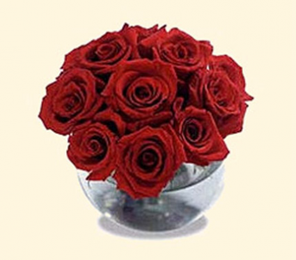 Bubble Bowl of Short Red Roses Fresh Flowers