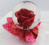 Bubble Rose Love 