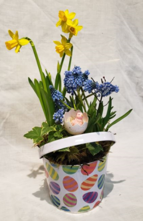 Bucket Full Of Easter! Spring Bulb Planter