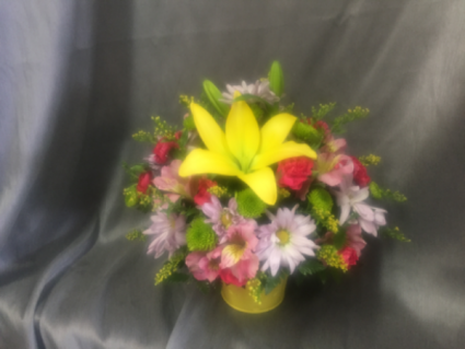 Bucket of. Beautiful