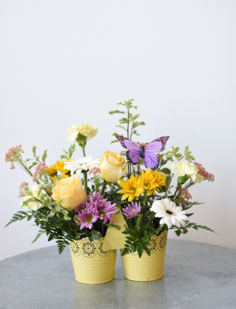 Bucket of Blooms