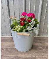 Bucket of flowers Outdoor plants