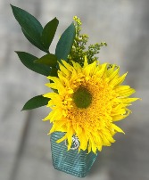 Sunflower Bud Vase