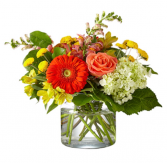 Buds and blooms  Vase