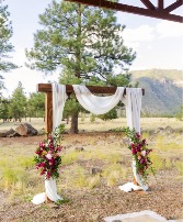 Buffalo Park Arch & Flowers 