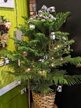 Buffalo Plaid Norfolk Pin Tree Christmas