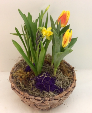 Bulb Garden Basket