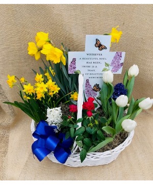 Bulb Garden Basket Blooming Bulb Garden