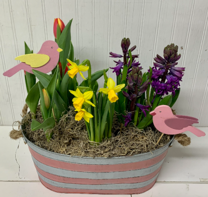 Bulb Garden in Tin