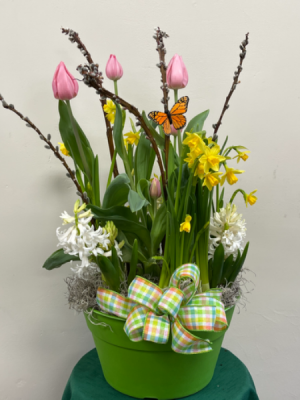Bulb plant garden 