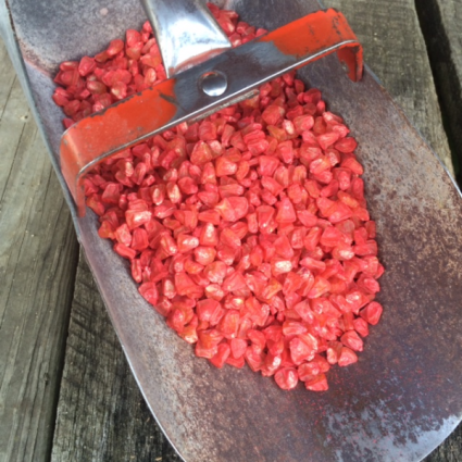 Bulk Seed by the Pound