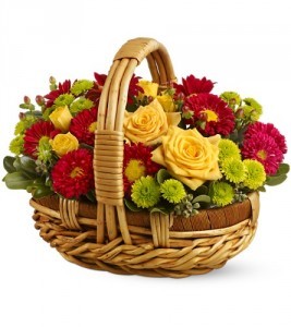 Bundle of Sunshine HFWEB2222