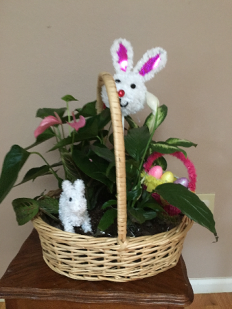 Bunny easterbasket garden basket with asst green plants 
