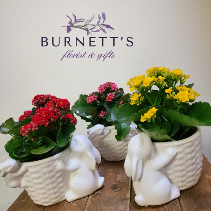 Bunny Hugs Planter