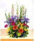Radiant: Rhonda's Garden Tray Arrangement