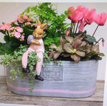 BUNNY LOVE PLANTER