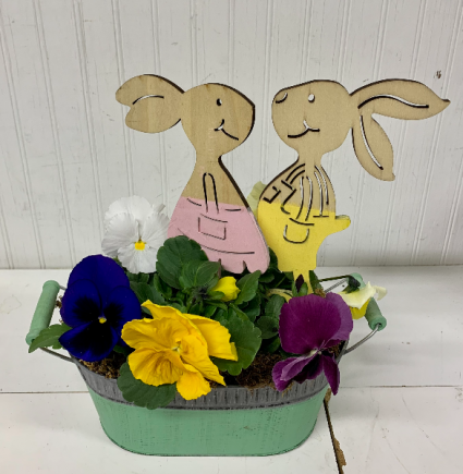 Bunny Pansy Garden