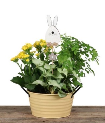 Bunny Time! Spring Planter in Delta, BC | FLOWERS BEAUTIFUL Bunny Time! Spring Planter in Delta, BC | FLOWERS BEAUTIFUL