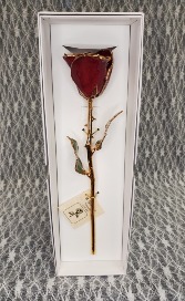 Burgandy Gold Rose 