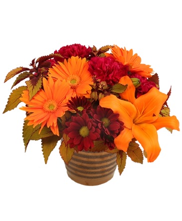Rustic Orange and Cranberry Flower Arrangement in Claresholm, AB | FLOWERS ON 49TH