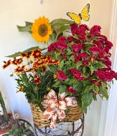 Burgundy & Sunflower Charm Planter Blooming Plants