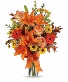 Burst of Autumn 
