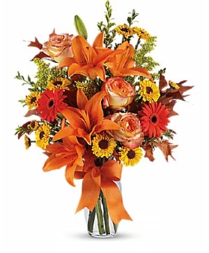 Burst Of Autumn Fall