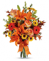 Burst of Autumn Fall / All Occasions