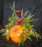 Burst of Fall Fresh cut 