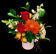 Category Image