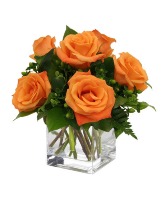 Burst Of Orange Roses