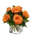 Burst Of Orange Roses