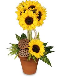 Burst of Sunshine Any Occasion
