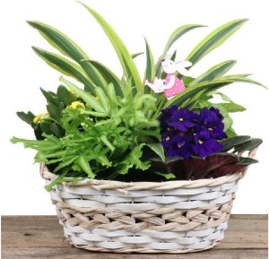 Bursting with Life Willow Planter Basket