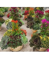 Bushel Basket Outdoor Planter