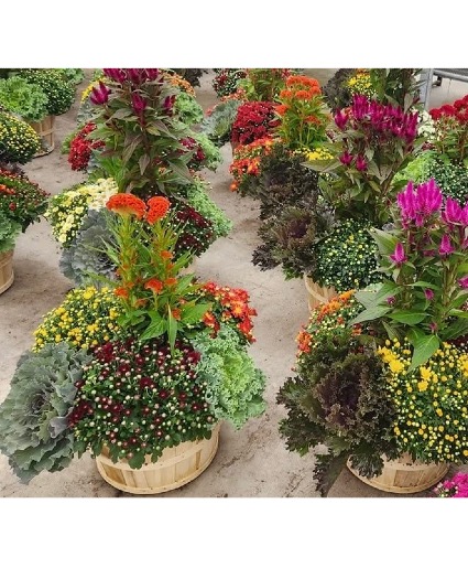 Bushel Basket Outdoor Planter