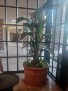 Business Plant Maintenance  