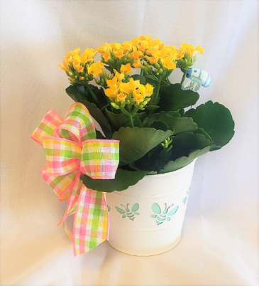 Busy Bee! Administrative Professionals Day in Virginia Beach, VA | FLOWER LADY