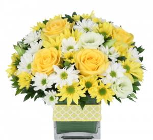 Buttercups and polka dots sold as standard only Fresh arrangement