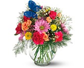 BUTTERFLIES AND BLOOMS