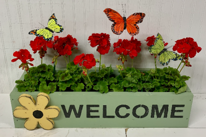 Butterflies and Geraniums
