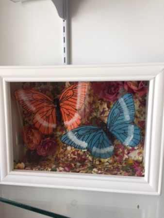 butterflies  Gift
