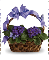  Butterflies on Violets  basket
