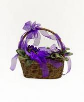Butterflies & Violets Blooming Plant Basket