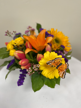 Butterfly