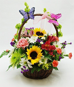Butterfly and Blooms Basket