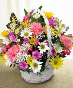 Butterfly Basket Arrangement