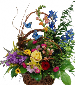 BUTTERFLY BASKET EVERYDAY in Kansas City, MO | Luxury Blooms BUTTERFLY BASKET EVERYDAY in Kansas City, MO | Luxury Blooms